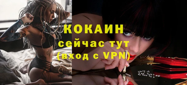 дживик Алапаевск