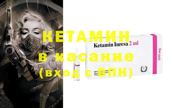 трава Аркадак