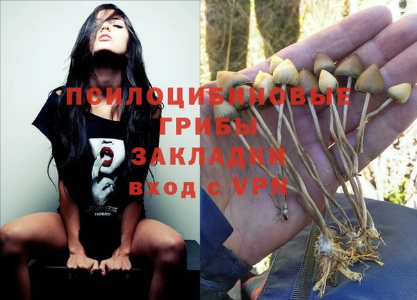 mix Ессентукская