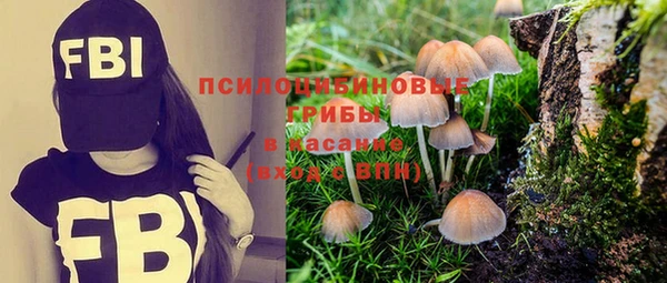трава Тында