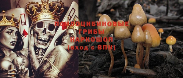 PSILOCYBIN Свободный