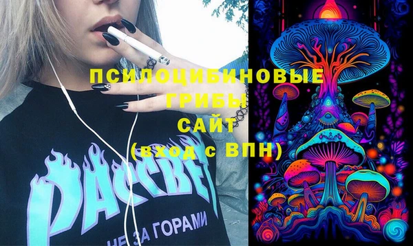 дживик Алапаевск