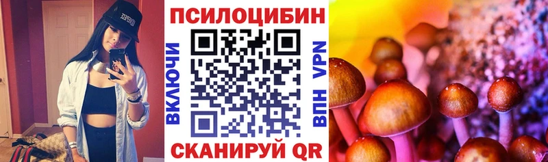 мега зеркало  Иваново  Псилоцибиновые грибы прущие грибы  закладки 