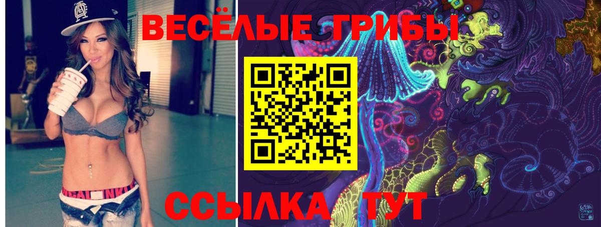 Псилоцибиновые грибы мухоморы Иваново