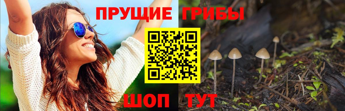 Галлюциногенные грибы ЛСД  Вход с VPN  Иваново 